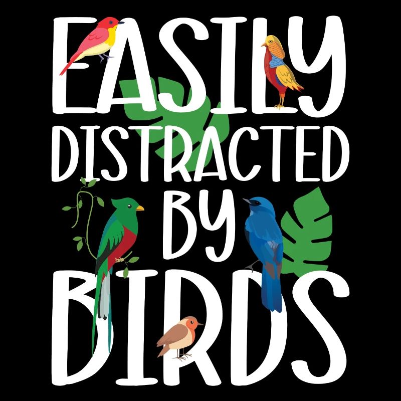 Easily Distracted by Birds