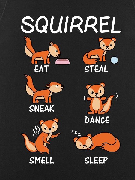 eichhörnchen
