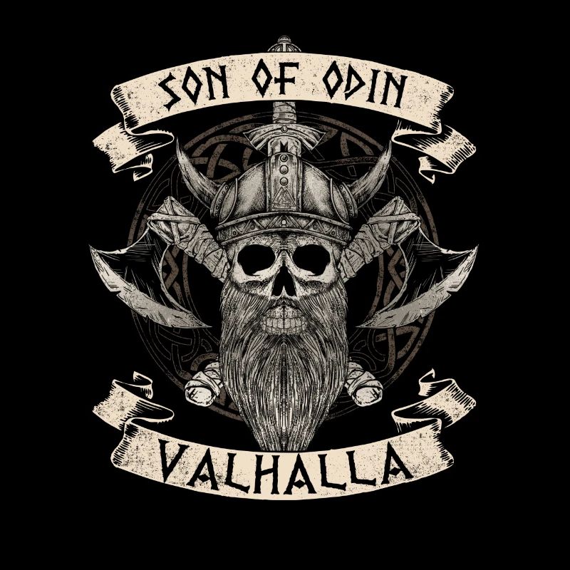 Fils d’Odin Viking Valhalla