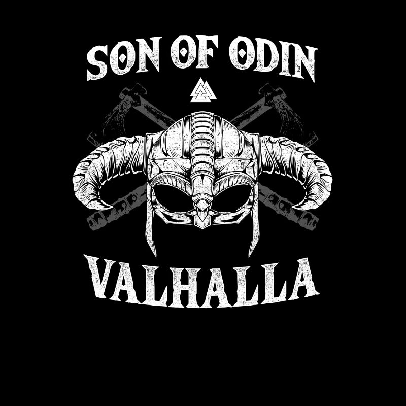 Fils d’Odin I Valhalla Viking