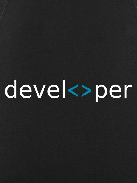 developer