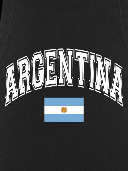 Argentina Flag