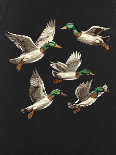 Flyvende gråænder Duck Farm Dyr Duck Birds Lover