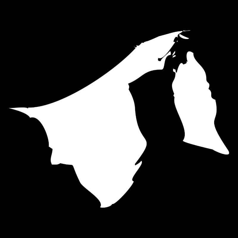 Drapeau de carte de Brunei