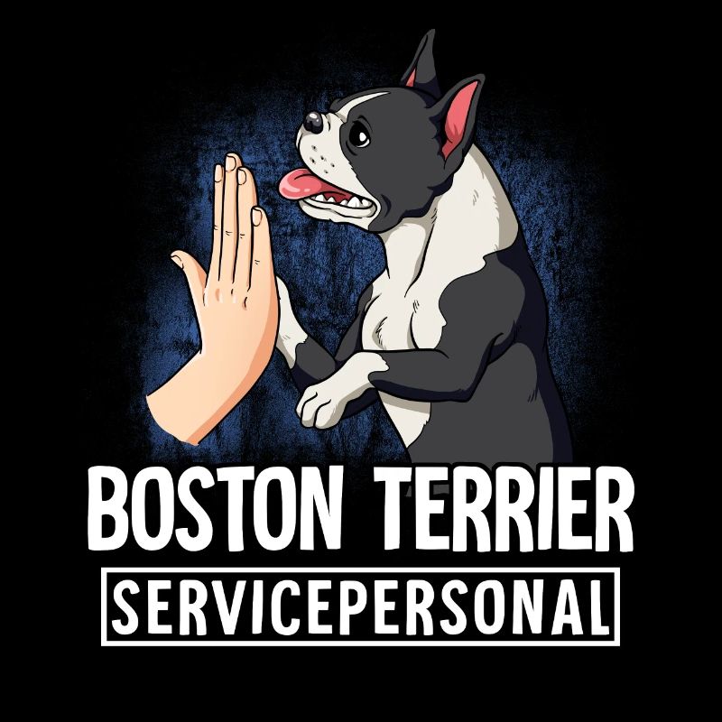 Boston Terrier