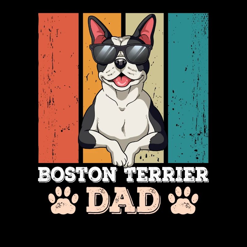 Boston Terrier Dad