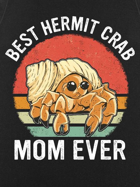 Crab Hermit Crab Crab