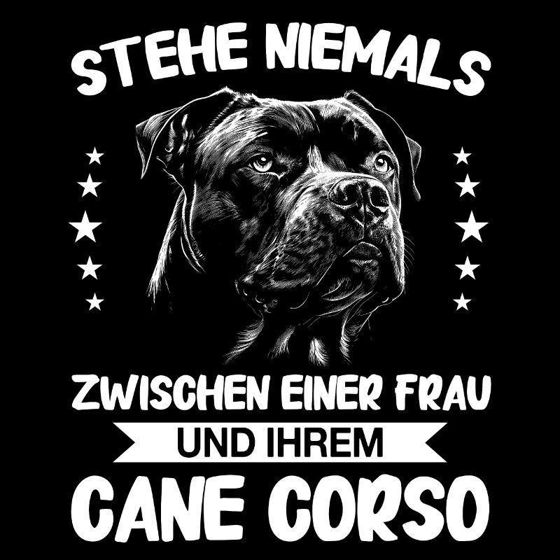 Hunde Cane Corso Italiano Hund