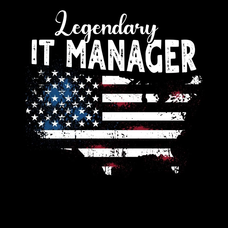 IT Manager