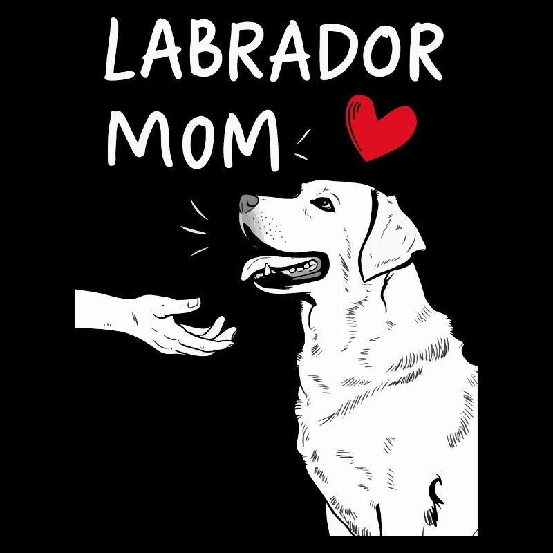 Labrador Hund Hunde