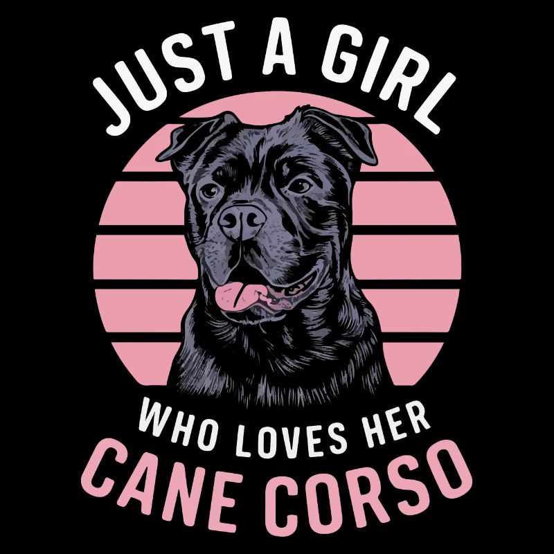 Cane Corso Hund