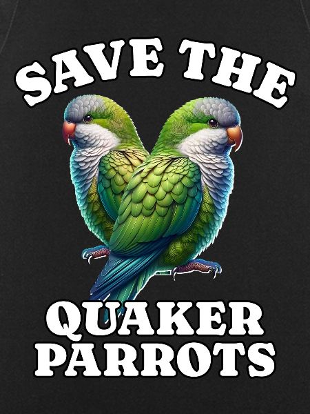 Mönchssittich Save Quaker Parrot