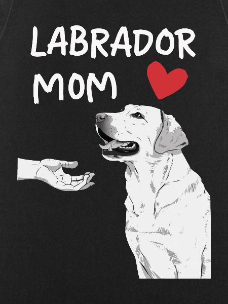 Labrador Dog