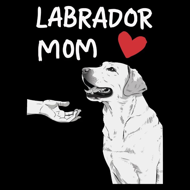Labrador Dog