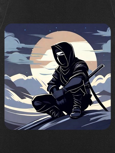 Mysterious Ninja Warrior