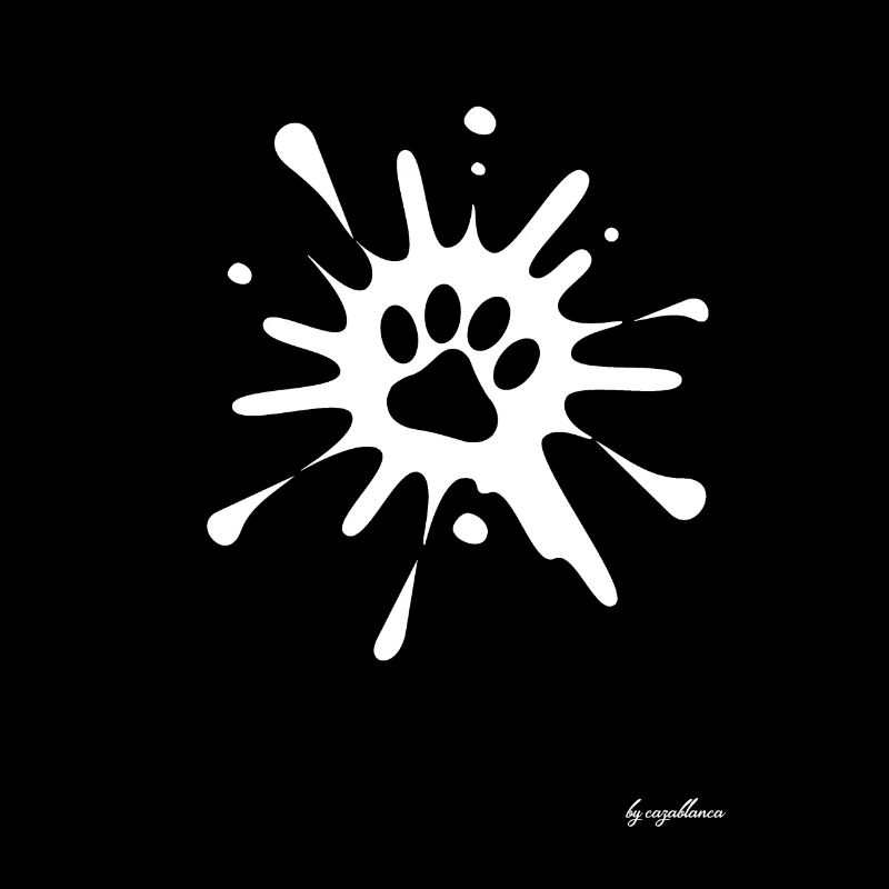 Splash cat