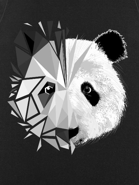 Panda animals