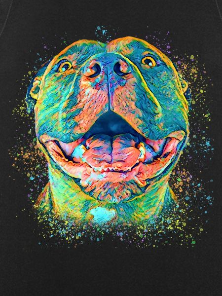 Pitbull mignon