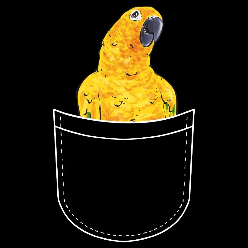 Perruche Perroquet Perruche Oiseau