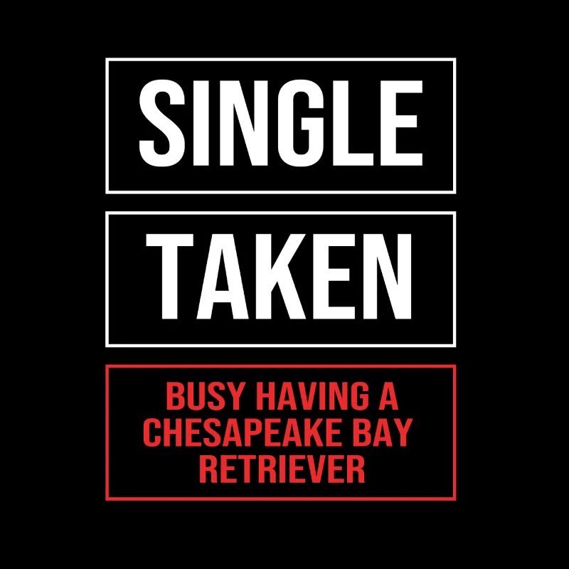 Retriever de la baie de Chesapeake