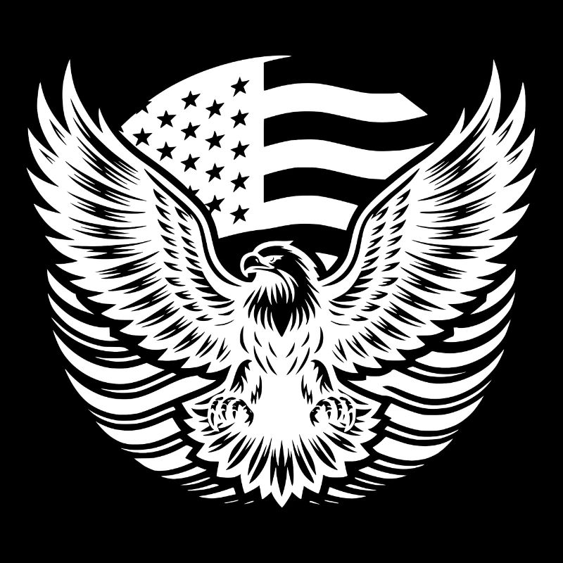 USA flag and eagle with spread claws