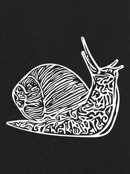Cute Snail with House