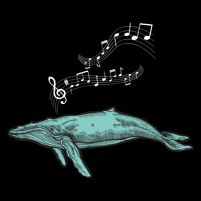 baleines mer poisson eau mer mer cachalot