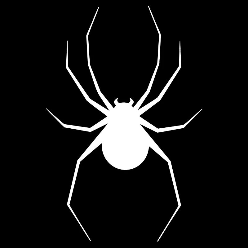 spider
