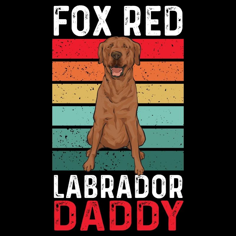 Foxred Labrador Fuchsroter Labrador Retriever