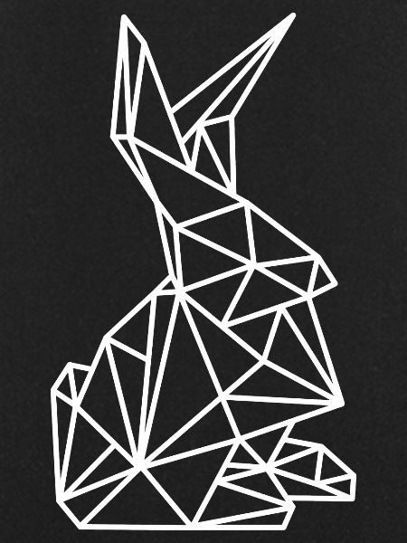 Rabbit Geometry Lines