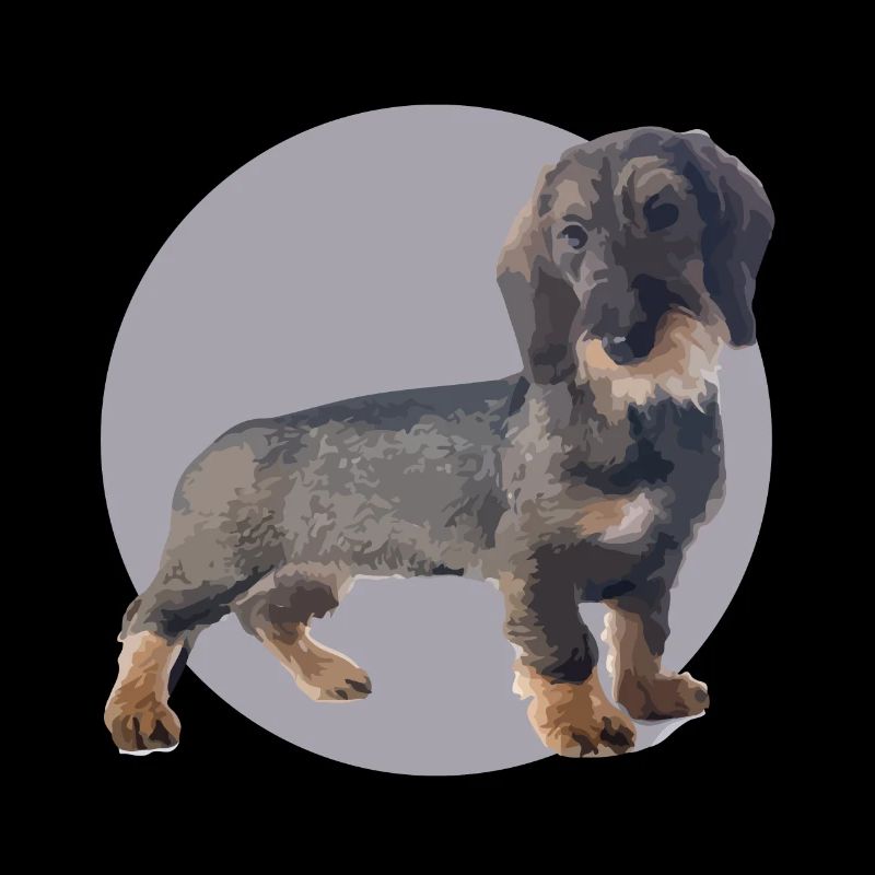 Dackel Welpen