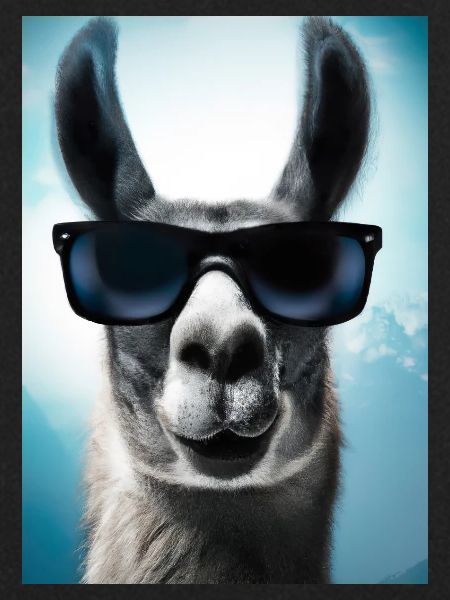 Lama mit Sonnenbrille