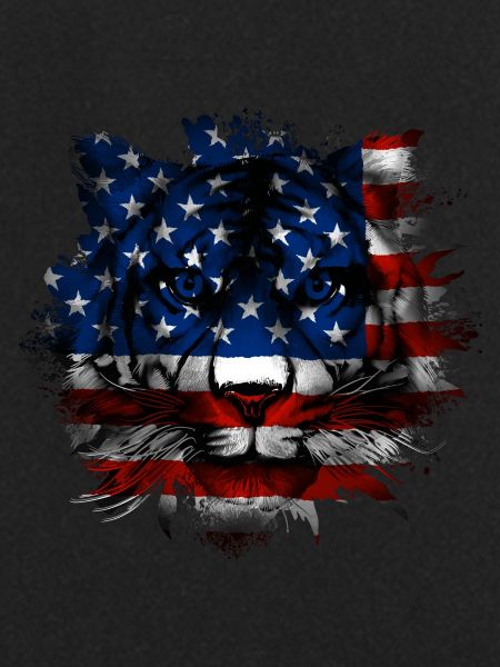 États-Unis