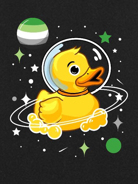 Duck Astronaut Aromantic Pride