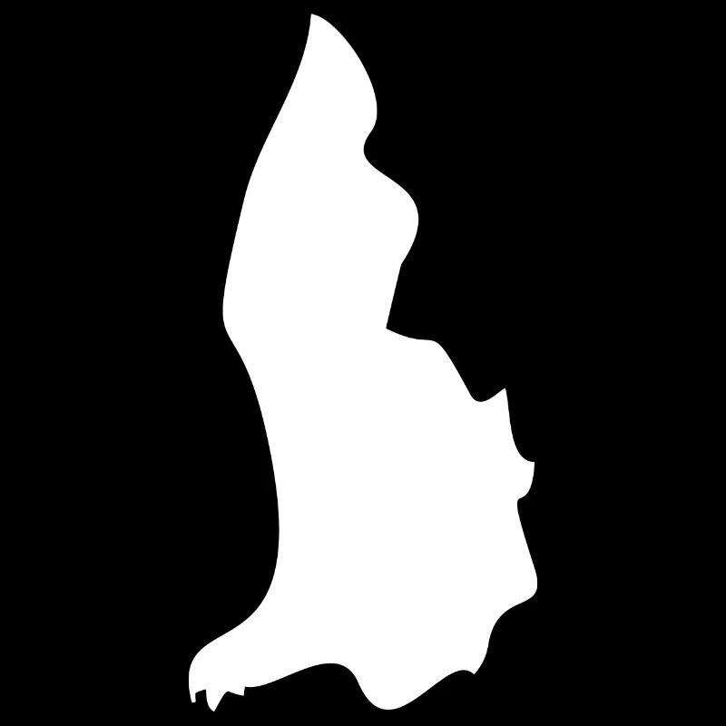 Drapeau de carte du Liechtenstein
