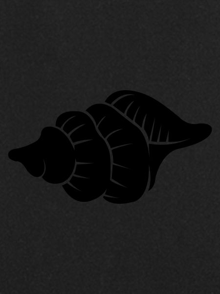 shell