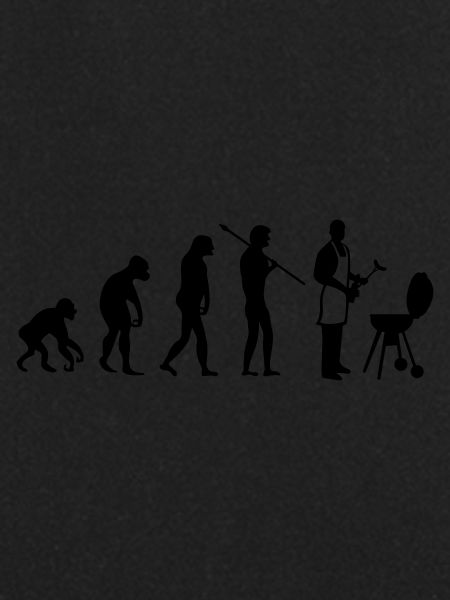 grill evolution