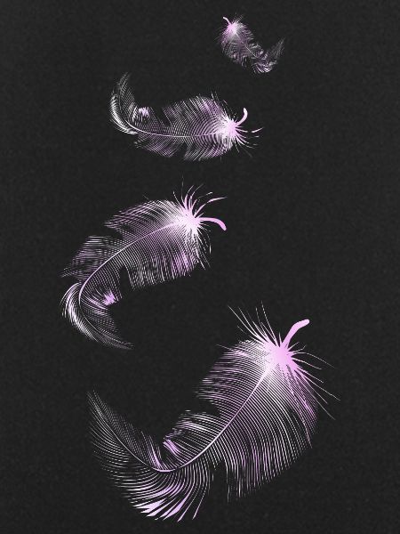 four soft pink feathers