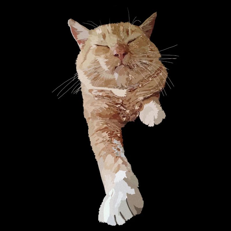 Chat rouge