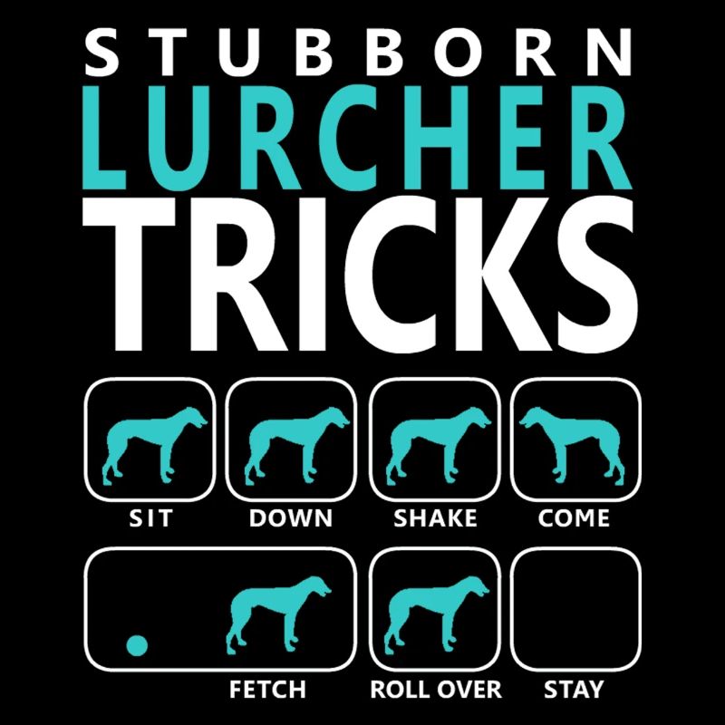 Stubborn Lurcher tricks