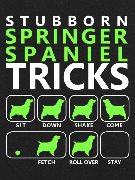 Hartnäckige Springer Spaniel Tricks