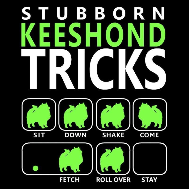 Hartnäckige Keeshond-Tricks