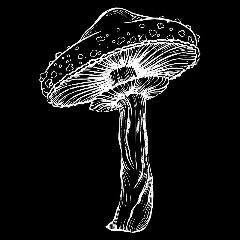 Art de champignon de conception graphique d'herbes colorées