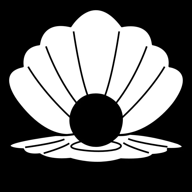 coquille 02