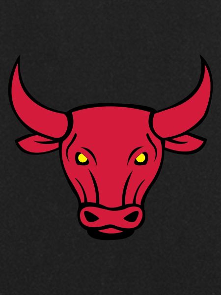 bull 02