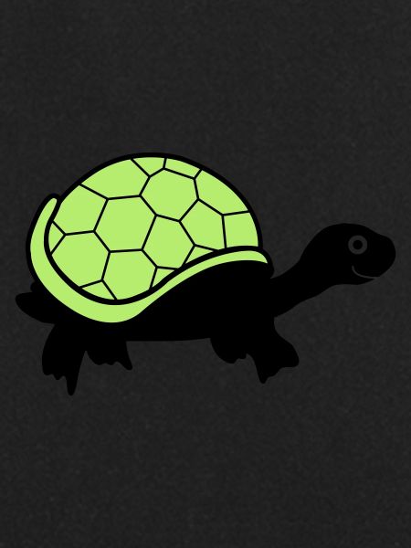 turtle