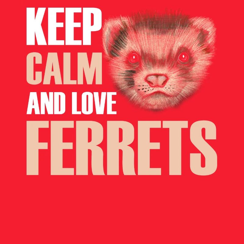 Furet