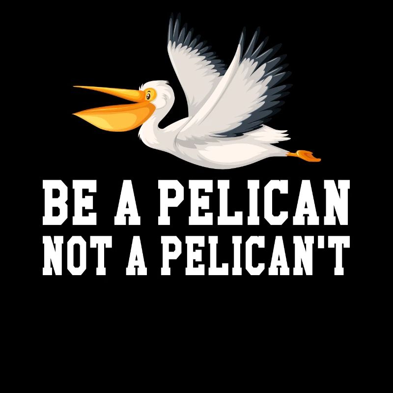 Pelican Pelicans Oiseaux Oiseaux Oiseaux