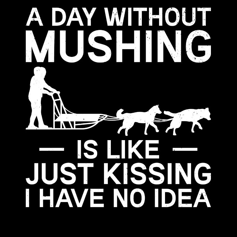 Alaska Mushing Hundeschlittenfahrer Huskies