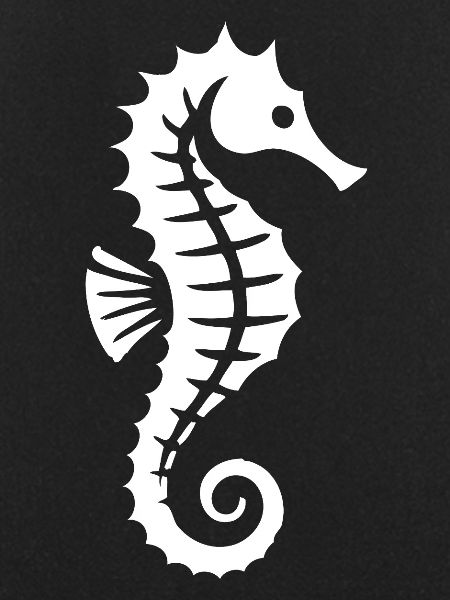 Seepferdchen | Schwimmabzeichen